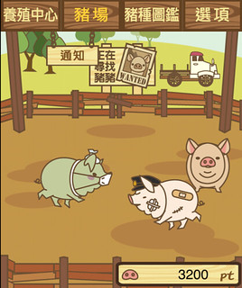 熱門APP遊戲養豬場。圖片來源：養豬場