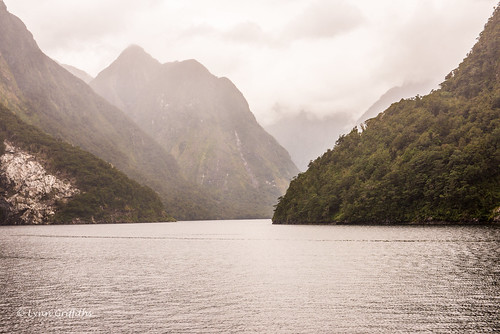newzealand mountain water landscape coast moody sound southland lowcloud landscapephotography outdoorphotography