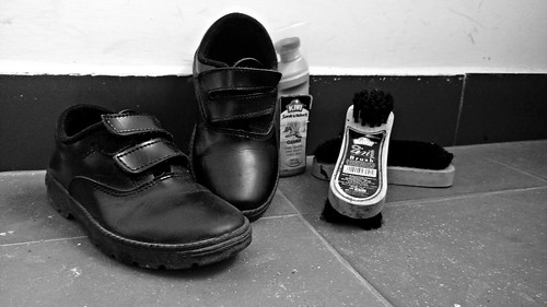 school shoes polish