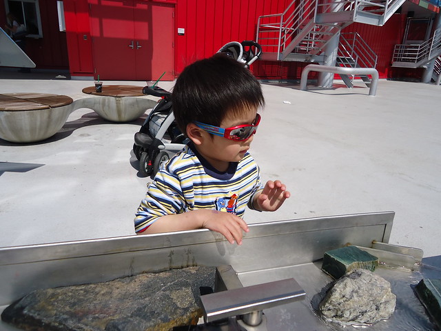 孫兒暘今年四個月的成長在@溫哥華科學館