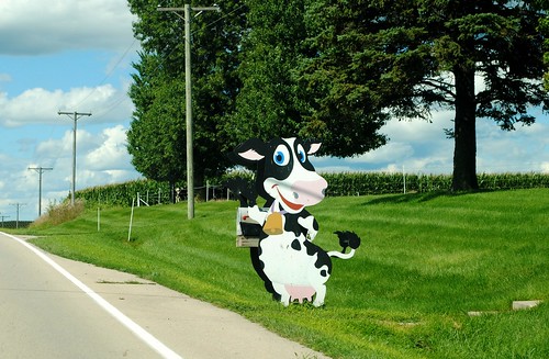mailbox farm cow dairyfarm road rural illinois il midwest unitedstates usa unitedstatesofamerica baileyville baileyvilleil baileyvilleillinois