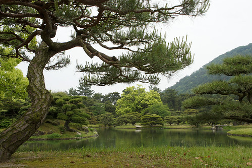 tree japan pond sony shikoku takamatsu 日本 四国 栗林公園 高松 ritsurinkoen sonynex5 2015holidayday2