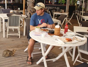 There are cats all over Gili T including in the restaurants.  They are picky little beggars though.  Chicken isn't good enough for them, they seem to only want your tuna.  