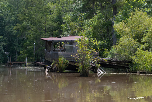 camp river fishing cabin alabama bayou swamp shack mobiletensawdelta trex7000