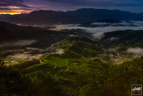 trees mountain green nature clouds sunrise landscape dawn spring rice top philippines terraces range province riceterraces mountaineer luzon mountainprovince smerindo sunnymerindo itsmorefuninthephilippines sunnymerindoimages