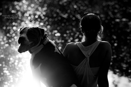 evening river water sunset sunlight light bokeh dog woman bw black white dof portrait candid backlight reflection observers thegalaxy saariysqualitypictures