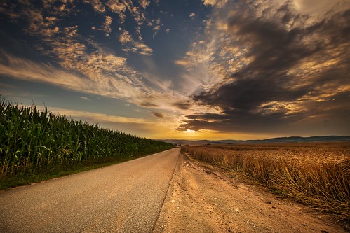 grain road corn moravian sunset sunlight summer sky season scenic scenery rural plant outdoor nature landscape land idyllic horizon green field farm evening environment day countryside country cloudy clouds cloud beauty beautiful background agriculture