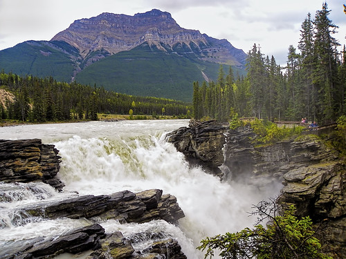 park mountain canada tree water beautiful pine forest river rockies waterfall soft jasper force power view hard canadian falls national alberta parkway limestone fir pour picturesque powerful loud surrounding quartzite icefields opulent pothole enormous athabasca amount viewers copious forceful