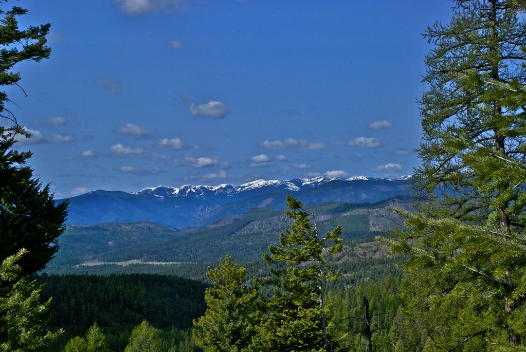 From the Baldy trail