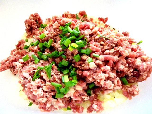 Beef and spring onions