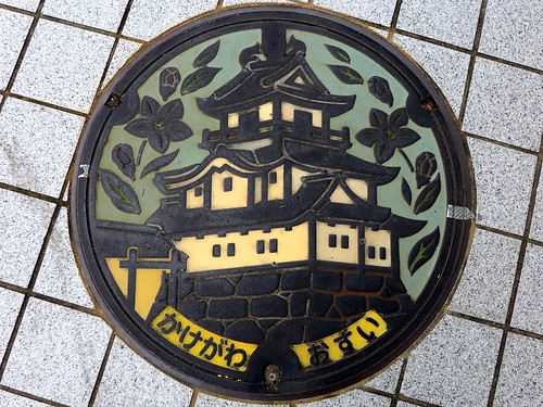 castle flower color manhole shizuoka kakegawa japan