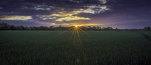 morning sunrise countryside early essex epping nikond600