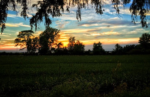 dusk summer evening ohio fremont trees clouds sky field tree apple peaceful color glow iphoneography iphone mobile silhouette warm expanse travel