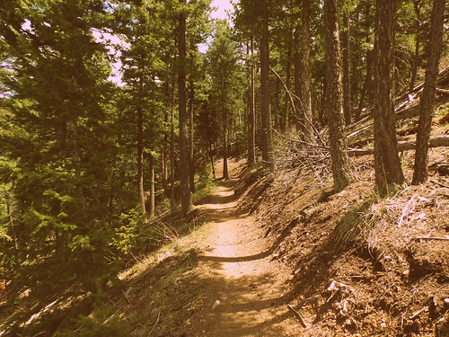 colorado hiking walkthisway