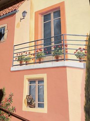 House of the Cat - Photo of Saint-André-de-Cruzières