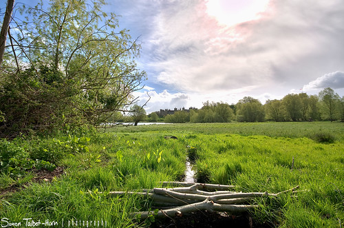 wood uk trees england sky sun lake castle art ex nature grass clouds skyscape landscape suffolk nikon stream raw nef bright dam ngc sigma wideangle marsh acr dslr 1020mm 1020 ultrawide hdr highdynamicrange eastanglia merged naturephotography framlingham fram dng landscapephotography ultrawideangle framlinghamcastle ishootraw d5100 collegemere
