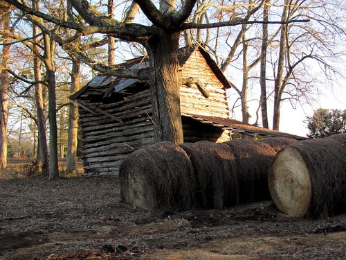 county door trees roof winter sunlight barn rural tin evening virginia wooden shadows charlotte dusk farm country entrance logs storage round unfinished hay agriculture bales posts economy tobacco redoak drying weak shedroof