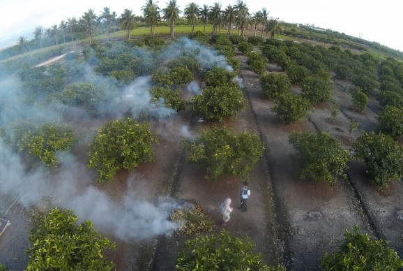 每年5到12月是屏東農地露天燃燒的好發季節，農民在果樹收成後修枝燃燒，占屏東PM2.5來源的24%。圖片來源：屏東縣環保局