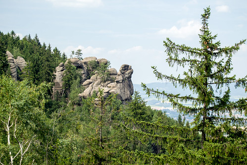 broumov steny rocks nature forest