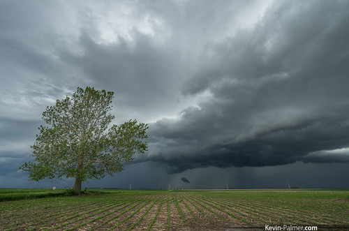 storm tree green rain clouds one illinois spring may stormy front farmland shelf thunderstorm gust outflow maroa kevinpalmer pentaxk5 samyang10mmf28