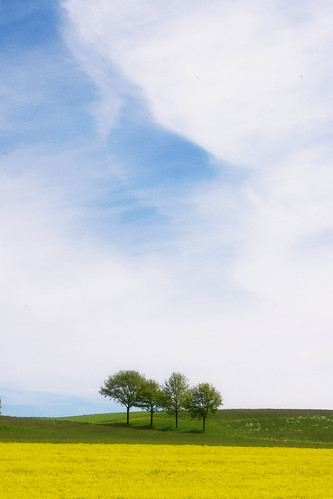 blue trees sky green field yellow clouds germany landscape deutschland countryside feld minimal minimalism simple