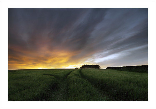 sunset sky field clouds scotland fife tripod farming crop kodachrome crombie copse leefilters filmsimulation 06gndh fujixt1 fujinonxf18135mm f3556rlmoiswr
