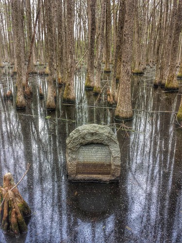 statepark swamp arkansas leecounty nationalhistoriclandmark nationalregister nationalregisterofhistoricplaces louisianapurchase