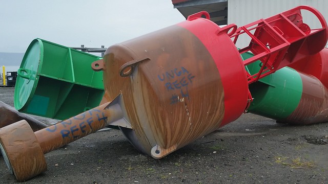 Unga buoy