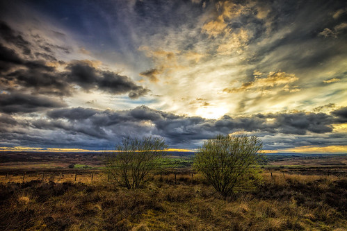 trees sunset summer sun grass clouds heather moors northyorkshire raf filingdales