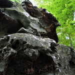 Shawnee National Forest highlights, May 2014