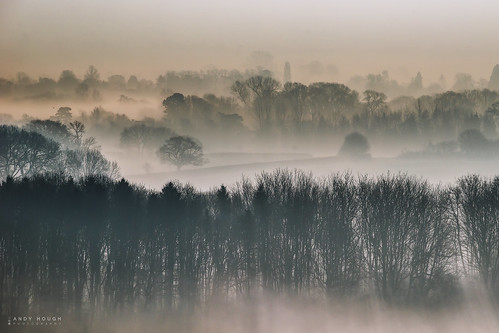 morning trees england mist landscape dawn unitedkingdom sony gb tamron wallingford southoxfordshire a99 sonyalpha andyhough slta99v andyhoughphotography tamronsp70200di