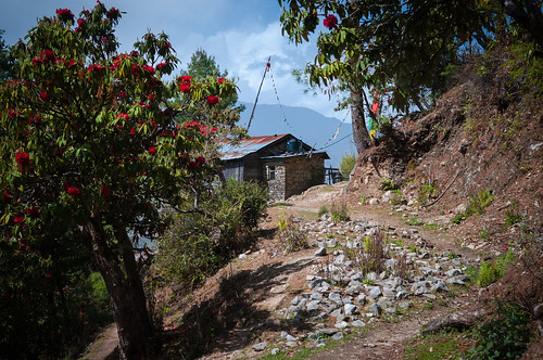 nepal vacances np népal langtang brabal régiondedéveloppementcentre