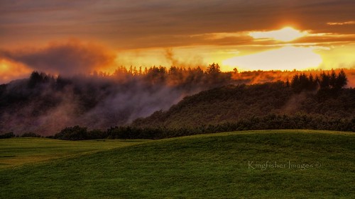 sunset field grass clouds forest germany cochem vapour kingfisherimages