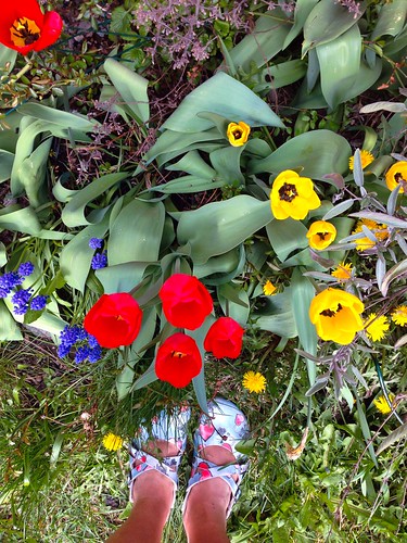 flowers and garden, april 2015