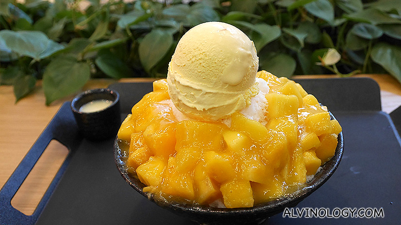 Mango Bingsu (their top seller) - S$15.90, made with real, fresh mangoes and 100% pure milk