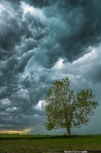 storm tree green rain clouds one illinois spring may stormy front farmland shelf thunderstorm gust outflow pentaxkx maroa samyang14mmf28