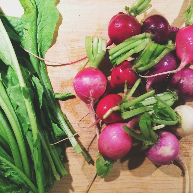 After a LONG winter of root vegetables, our #BostonOrganics dogma box is finally sporting some spring color! #radishes #localfood