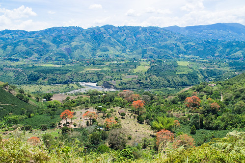 southamerica colombia co cucunuba cundinamarca magdalenarivervalleycolombia