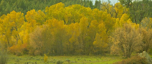 autumn usa america colorado unitedstates farmington piedra drumsara
