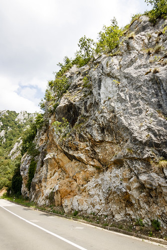 hill road rocks romania serbia tree donjimilanovac borskiokrug rs
