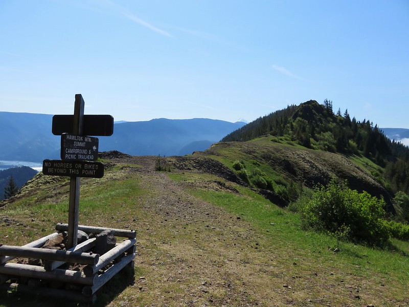Hamilton Mountain trail
