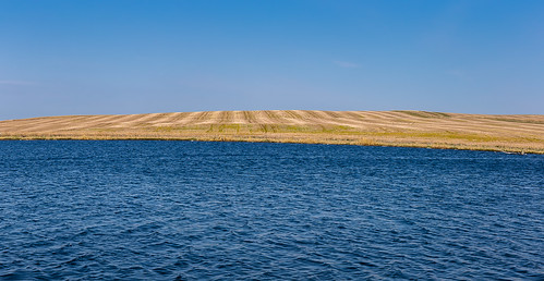 lake water field outdoor may hague northdakota nd wheatfield 2015 ricelake