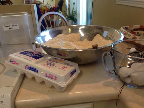 Low Carb Basic Flour Mix
