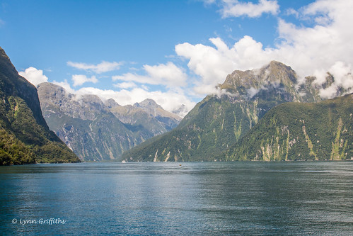 newzealand mountain water landscape coast sound milfordsound southland lowcloud watermarked landscapephotography outdoorphotography